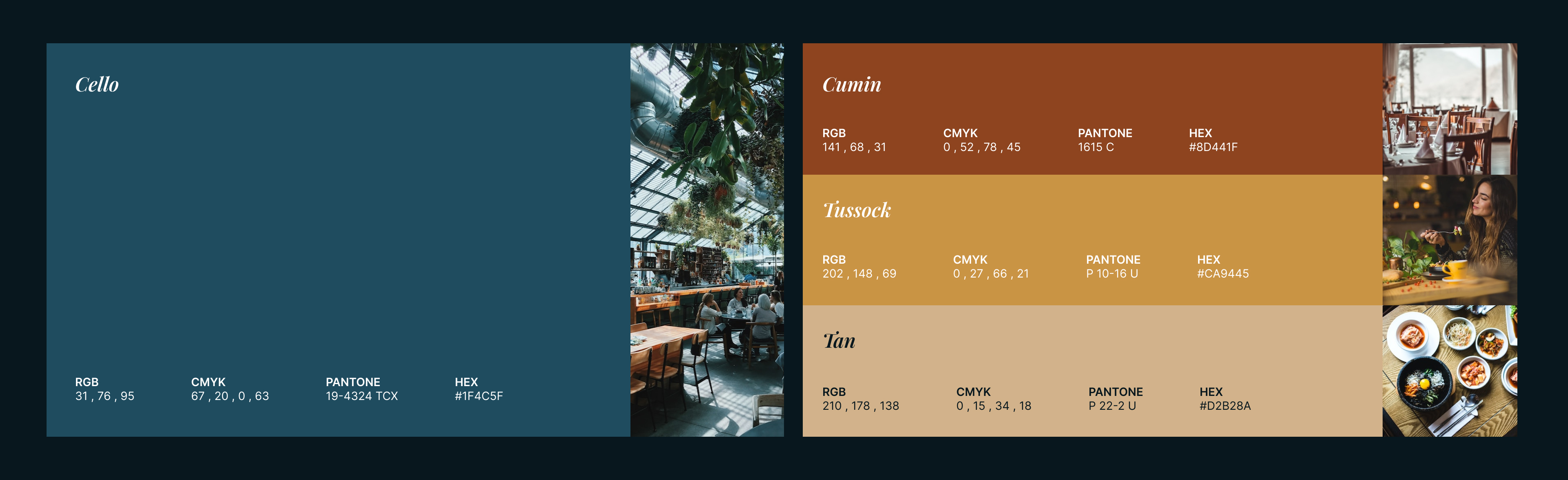 4 Colour.jpg