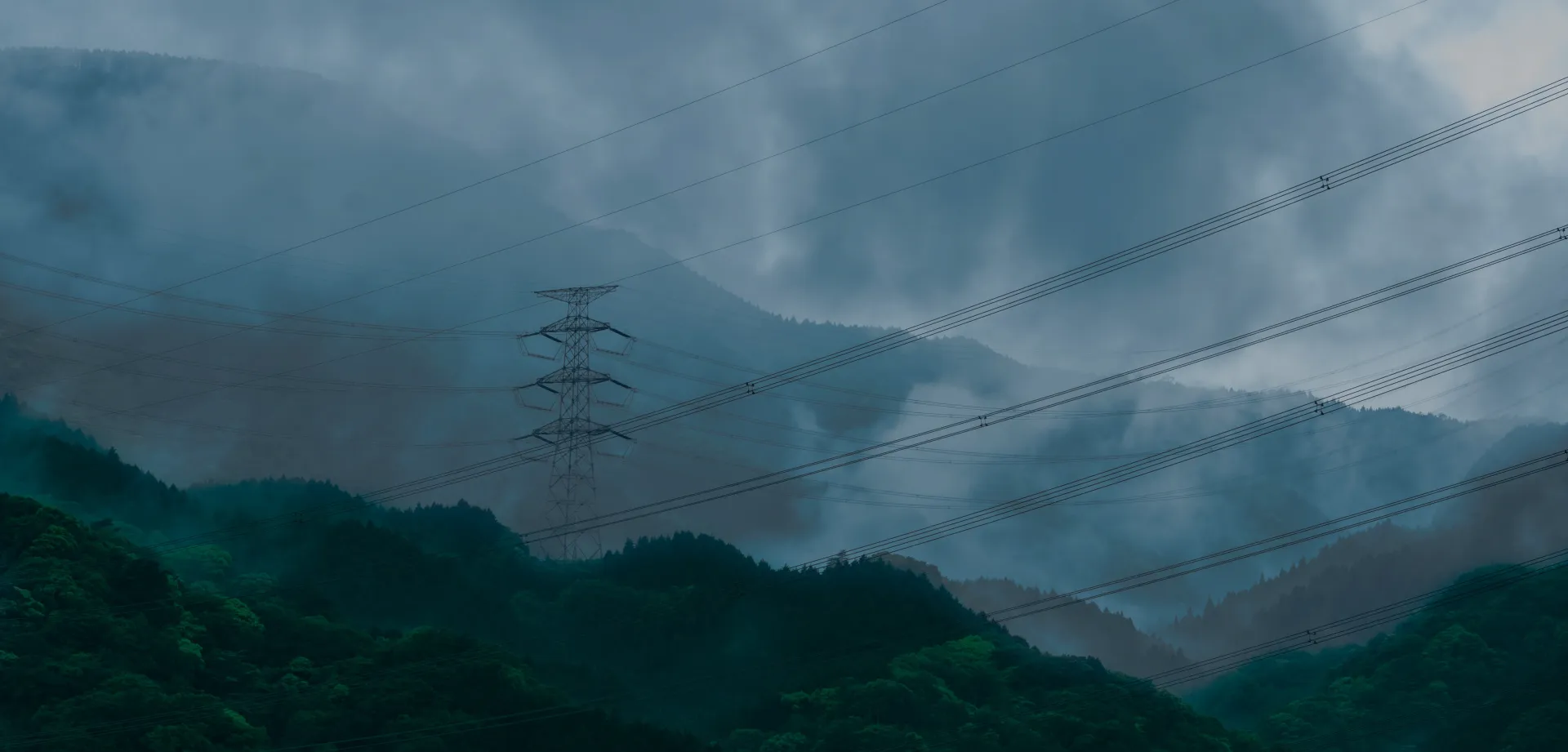 8 image 2.jpg